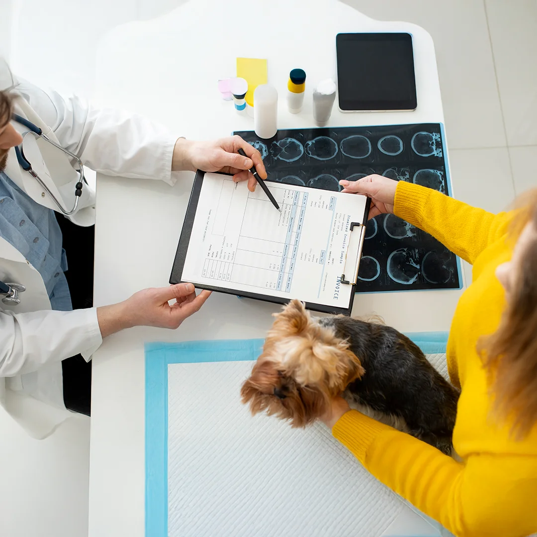 A veterinarian discussing test results and paperwork with a pet owner holding a small dog on the exam table.